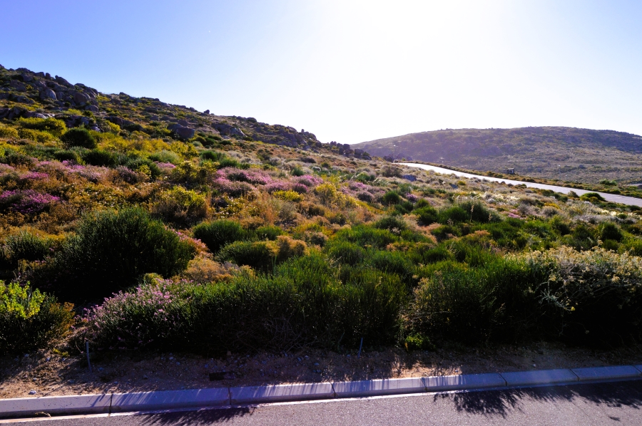 0 Bedroom Property for Sale in Steenbergs Cove Western Cape